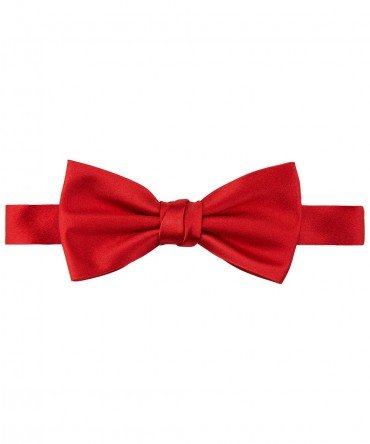 rode vlinderdas Profuomo