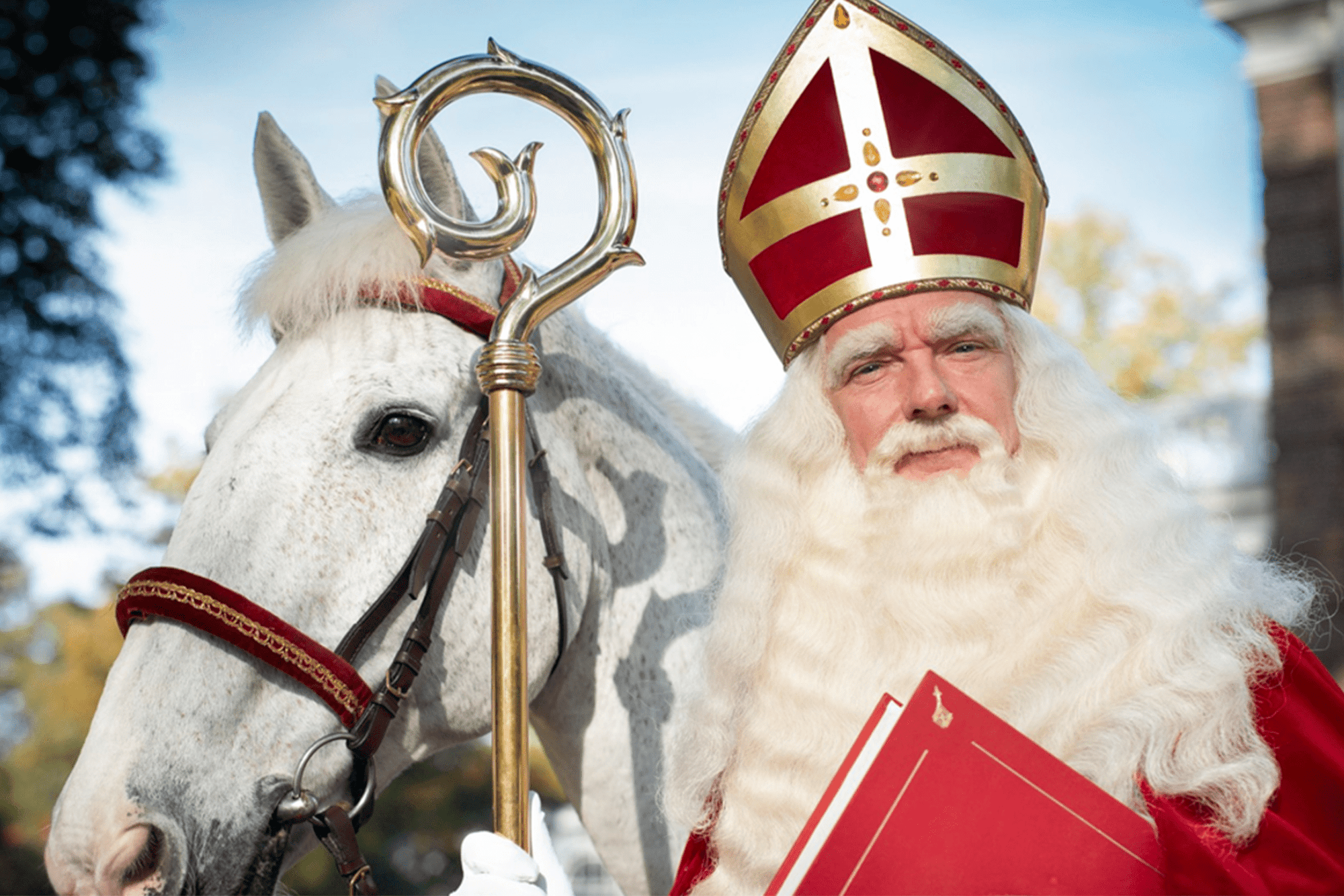 Saint Nicolas top 5 | Les bretelles en ligne les plus vendues sur la liste de souhaits aux Pays-Bas